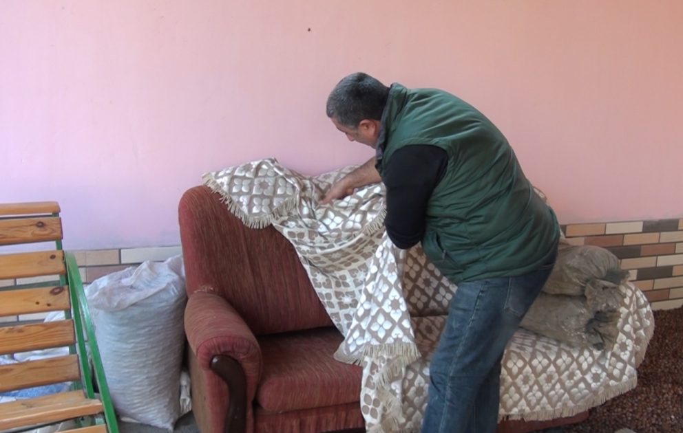 Payız gələndən qəhvəyi mərmər bağacıqlarında kütləvi artım müşahidə edilir