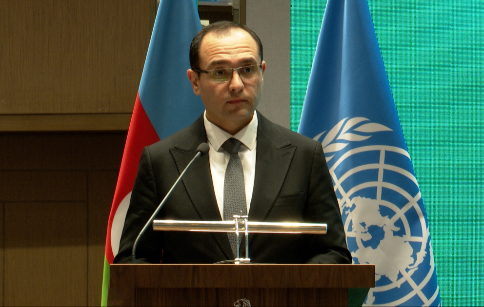 Nazir: Toxumçuluğun kənd təsərrüfatında və ərzaq təhlükəsizliyinin təmin olunmasında mühüm rolu var