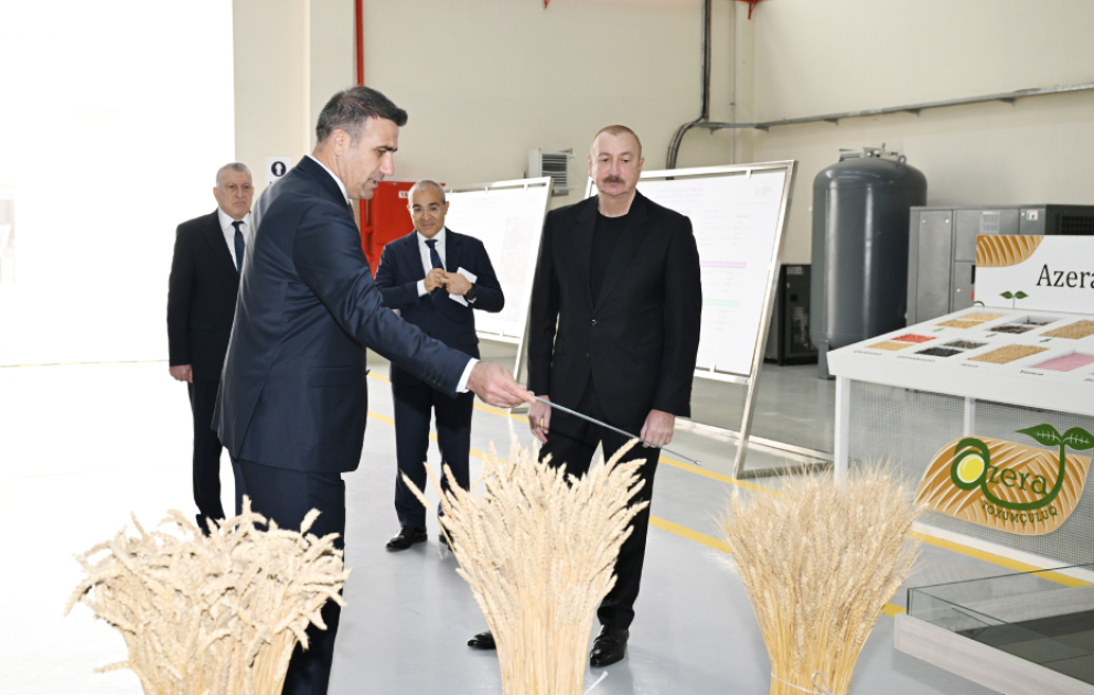 Sabirabad Sənaye Məhəlləsində toxum istehsalı müəssisəsinin fəaliyyəti ilə tanışlıq