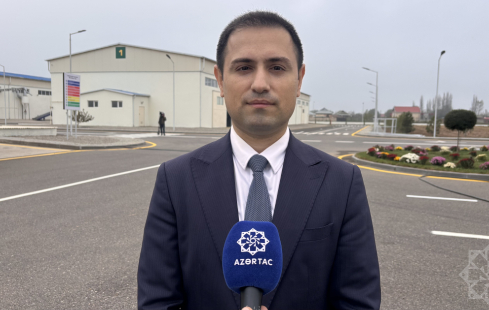 “Azera Toxumçuluq” MMC-nin Sabirabaddakı müəssisəsində standart və hibrid toxum istehsal olunur