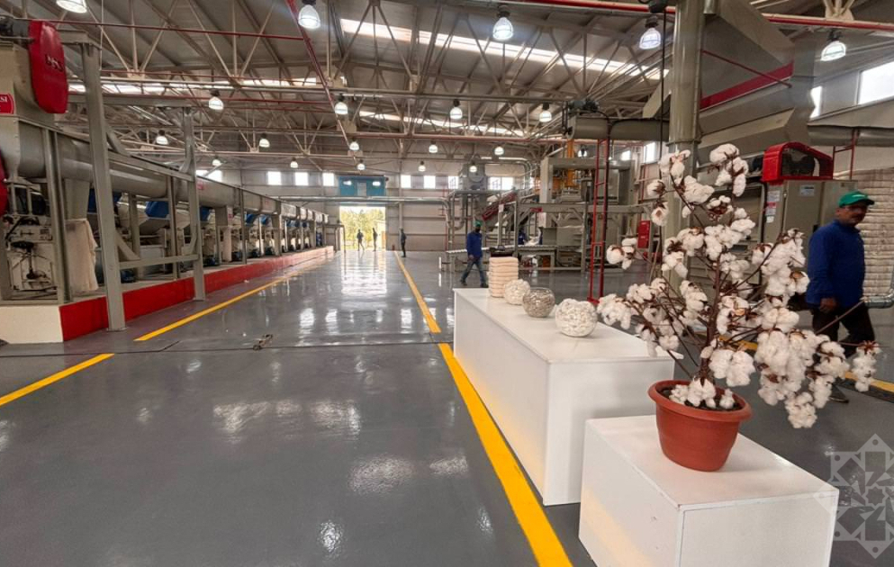 Sabirabaddakı pambıq emalı zavodu ildə 8 min ton mahlıc, 10 min ton texniki çiyid istehsalı gücünə malikdir