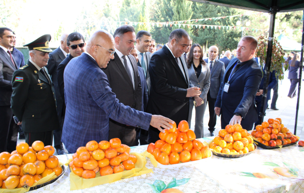 Balakəndə V Xurma festivalı keçirilib