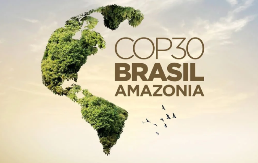 Почему интерес к конференции COP-30 оказался ниже ожиданий?