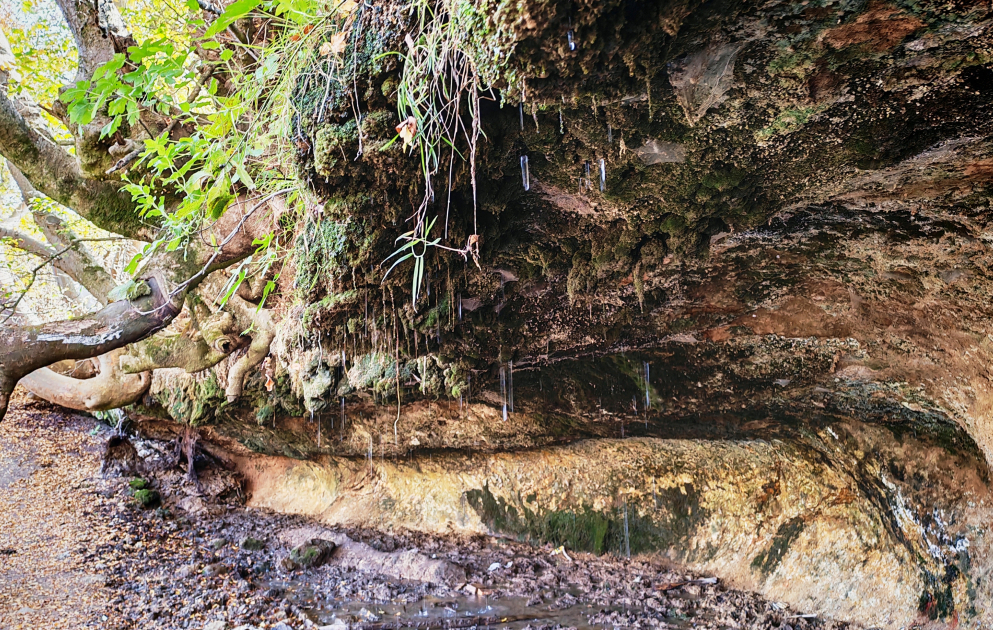 Khojaly’s Damjili Spring – where raw stone, timeworn wood, and crystal-clear water unite in harmony