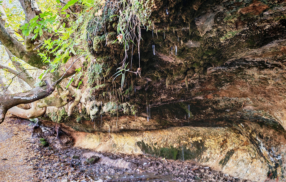 Damdschili-Quelle in Chodschali: Harmonie von Stein, Baum und Wasser