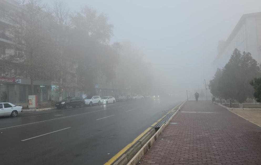 Naxçıvanda DYPİ dumanlı hava şəraiti ilə əlaqədar yol hərəkəti iştirakçılarına müraciət edib