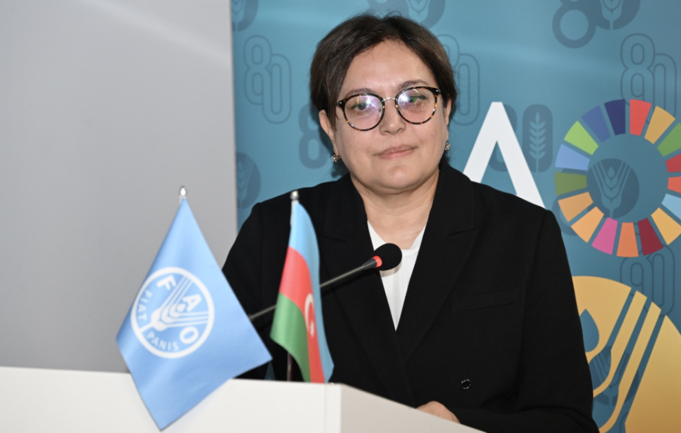 Nazir müavini: Azərbaycanda son dörd ildə 12 milyondan çox ağac əkilib