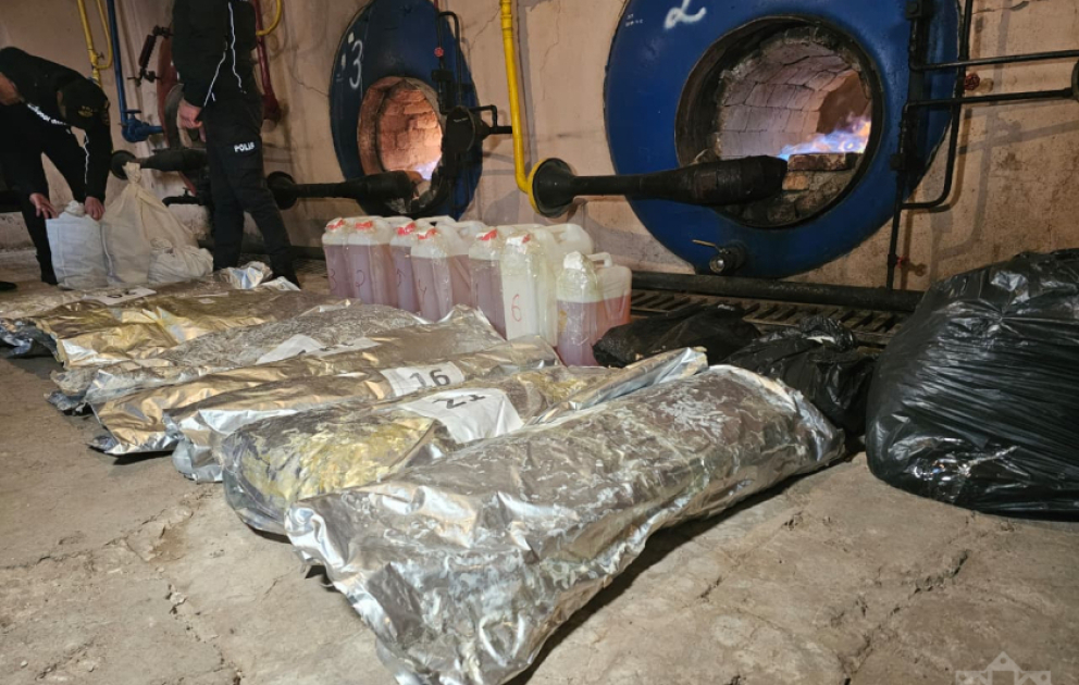 Naxçıvanda külli miqdarda narkotik vasitə məhv edilib