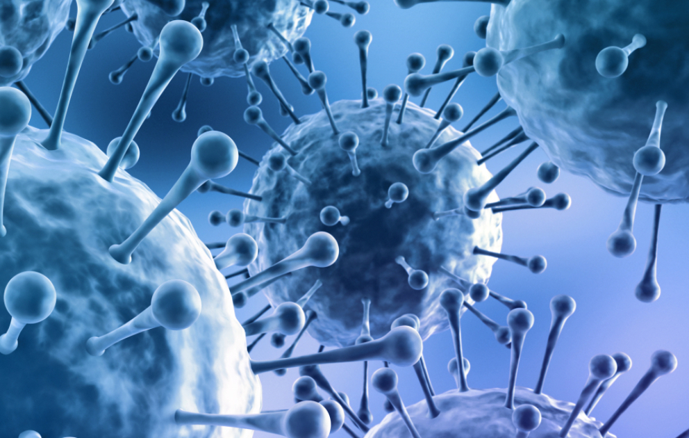 Respirator virus infeksiyaları ilə xəstələnmə səviyyəsi əvvəlki illərlə müqayisədə yüksək deyil