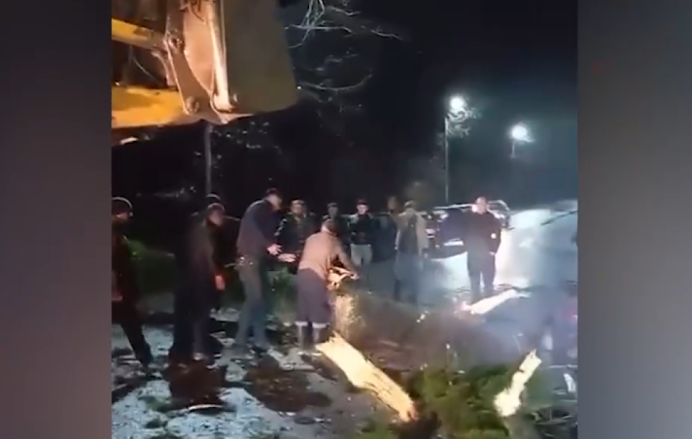 Yola aşan ağac ərazidən kənarlaşdırıldı