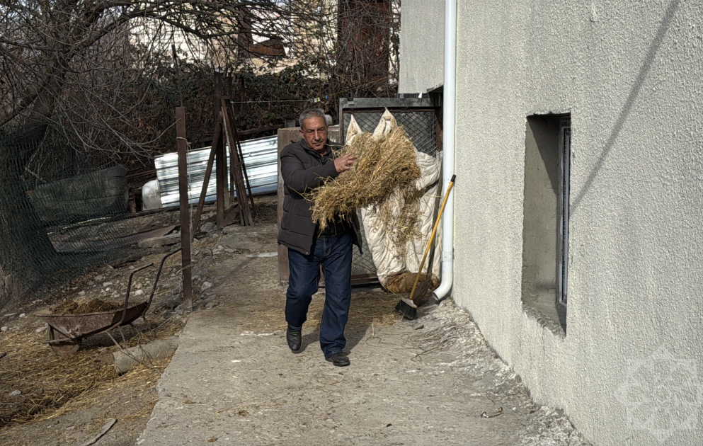Qırmızı Bazar qəsəbəsində həyat yenidən canlanır: Sakinlər özünüməşğulluq proqramı ilə təsərrüfatlarını qururlar