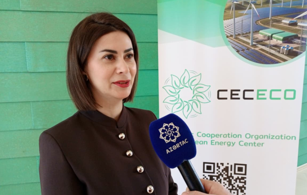 Aysel Yaqubova: TEM-in məqsədi milli və regional yaşıl enerji layihələri üçün əlavə imkanlar yaratmaqdır