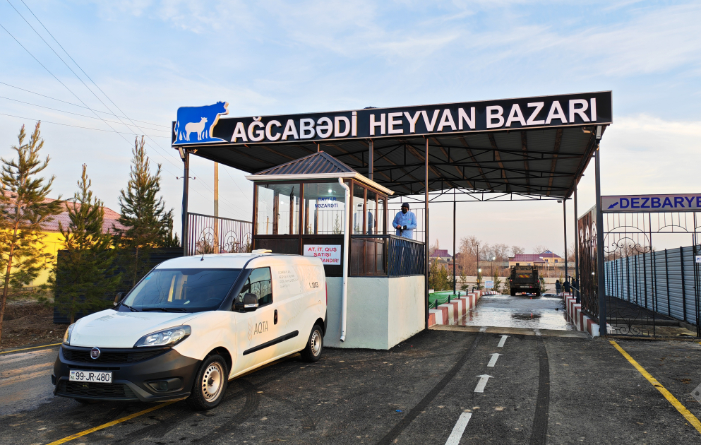 Ağcabədidə heyvan satışı bazarı fəaliyyətə başlayıb