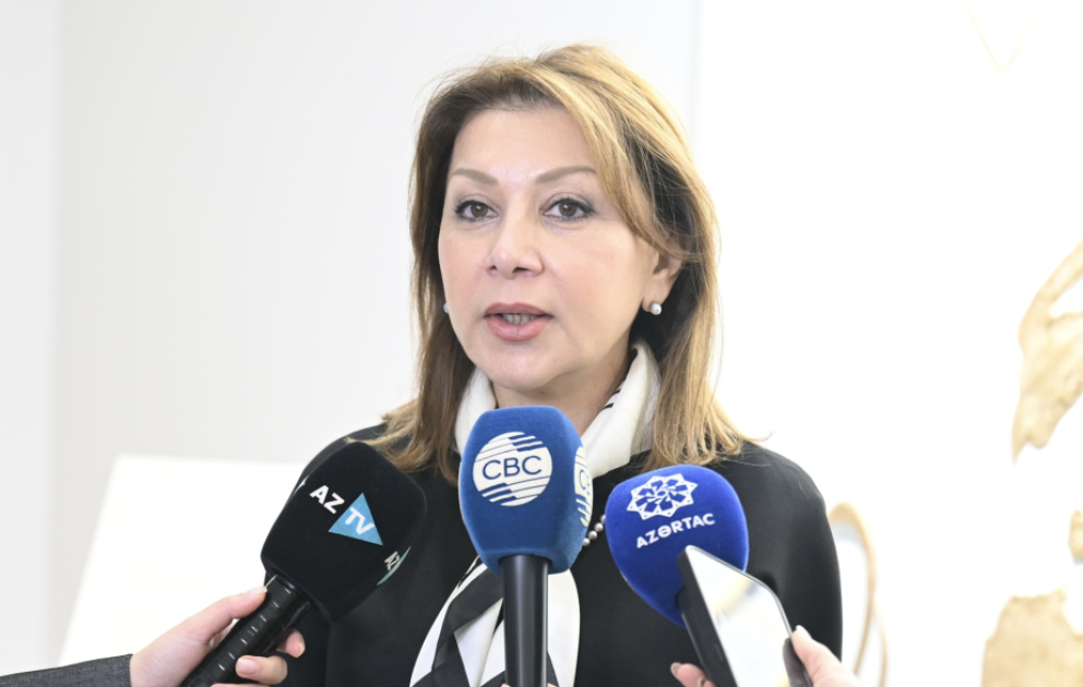 Aytən Qəhrəman: Gənclərimizə tolerantlığın, insan hüquqlarına hörmətin vacibliyini çatdırırıq