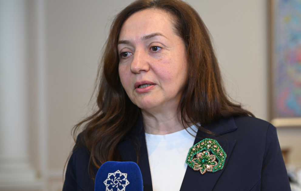 Aynur Kərimova: Konsepsiyanın məqsədi mədəniyyəti gündəlik həyatın ayrılmaz dəyərinə çevirməkdir