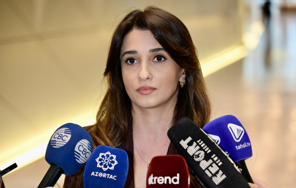 Pərvanə Cəlallı: “GəncVİZYON” gənclər üçün açıq və yaradıcı platforma rolunu oynayır
