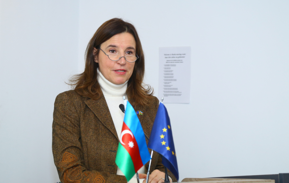 Aİ səfiri: Şəhərlər iqlim dəyişikliyi ilə mübarizənin ön cəbhəsindədir