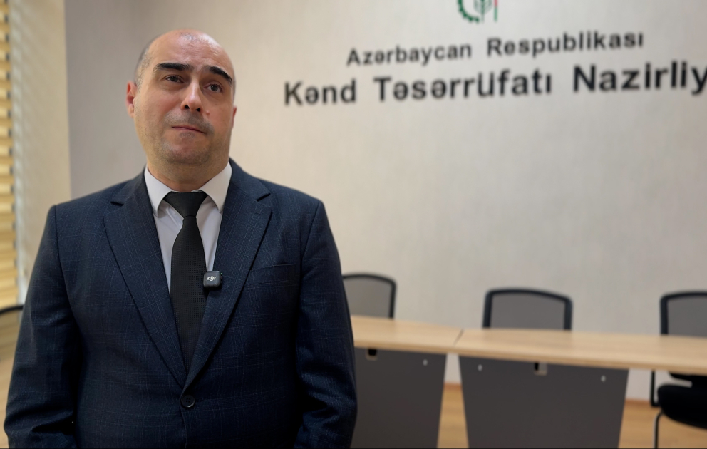 Namiq Şalbuzov: Hazırda ölkədə 53 aqropark var