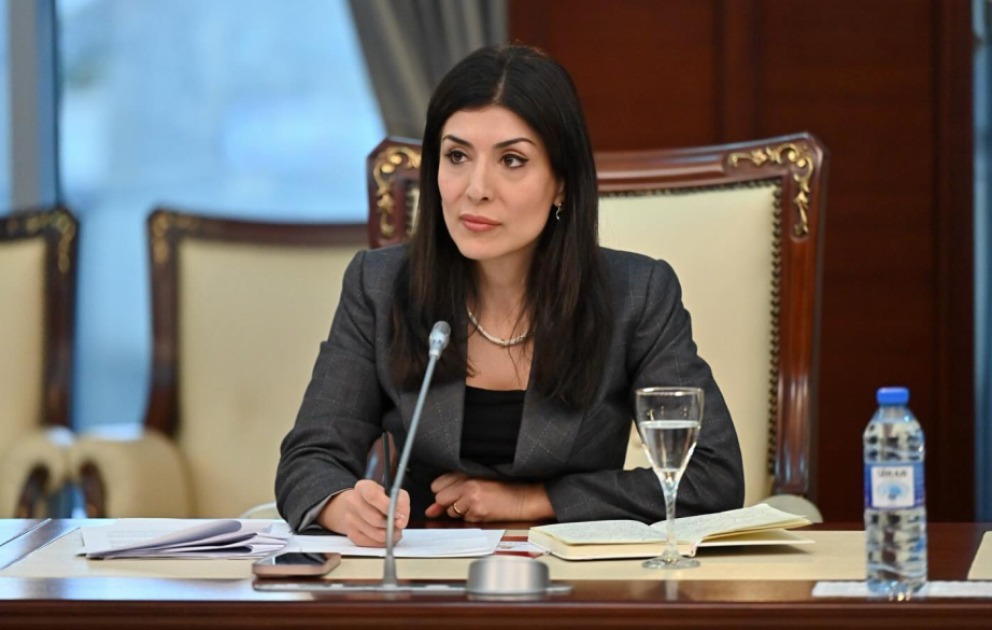 Nigar Arpadarai: Azərbaycanın kibercinayətkarlıqla mübarizə aparmağa imkan verən beynəlxalq mexanizmlərə qoşulması qaçılmazdır