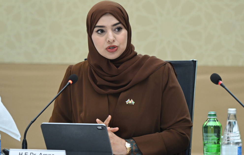 BƏƏ-li nazir: Azərbaycanla olan Hərtərəfli İqtisadi Tərəfdaşlıq Sazişi faydalı əlaqələrin qurulması üçün möhkəm təməl yaradıb