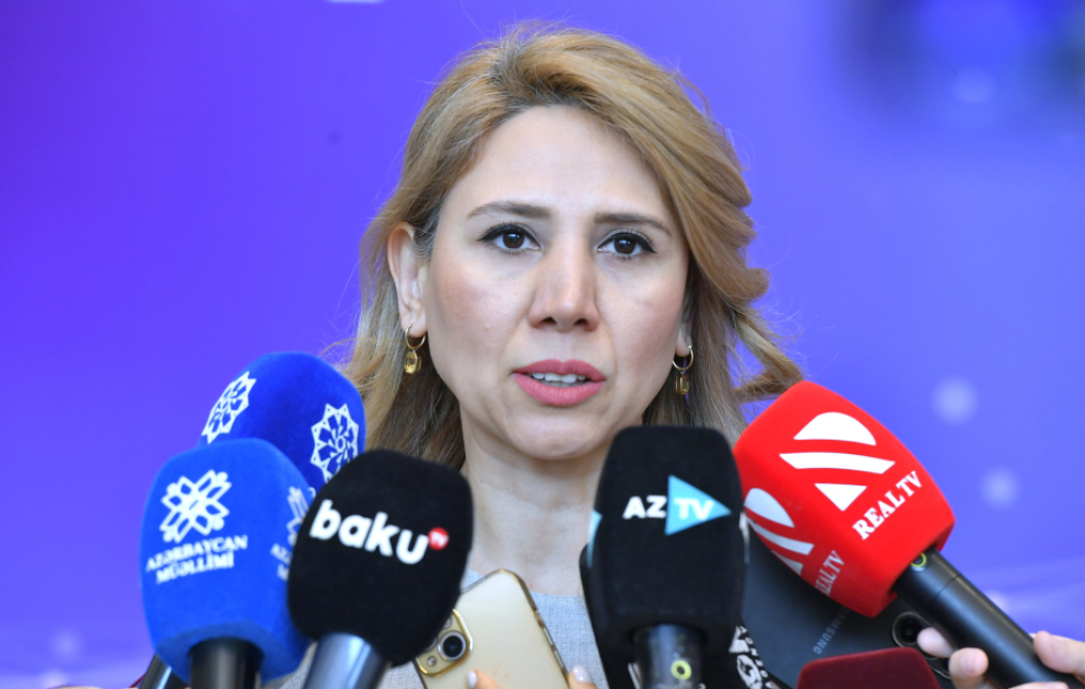 İspaniyalı müəllimlər IT sahəsi üzrə azərbaycanlı tələbələrə dərs keçəcəklər