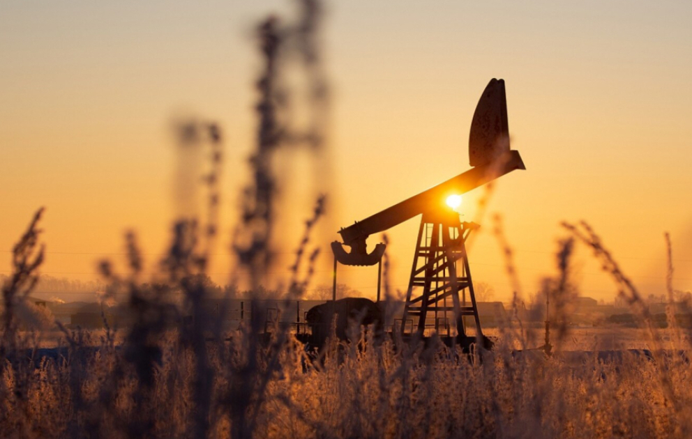 Oil prices rise on global exchanges