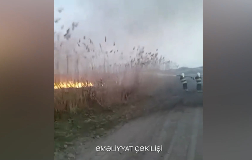 Cəbrayıl rayonu ərazisində yanğının qarşısı alınıb