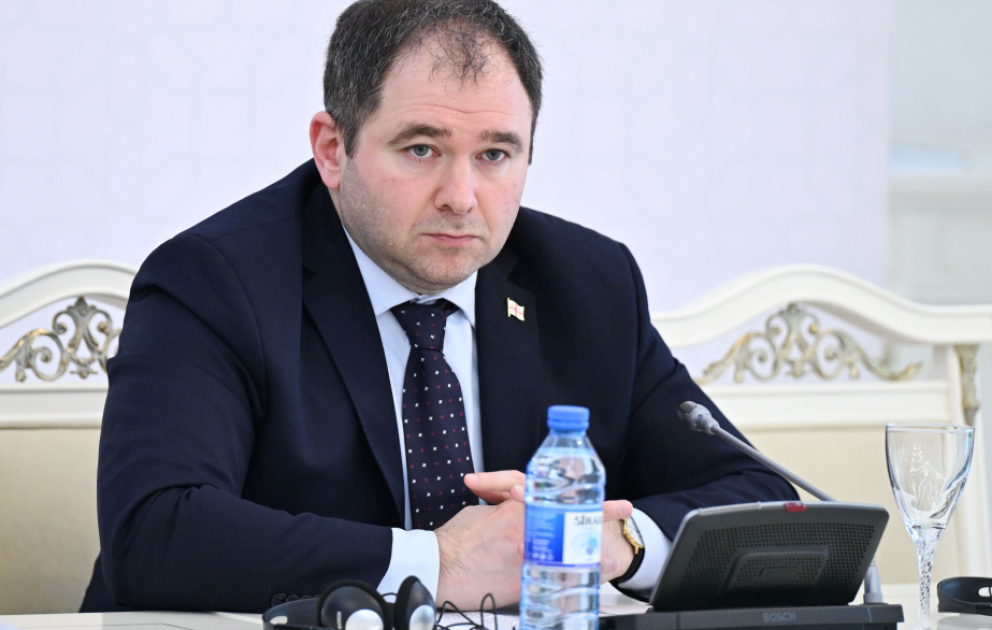 Nikoloz Şamxaradze: Gürcüstan regionda davamlı sülhün təmin olunması üçün töhfə verməyə hazırdır