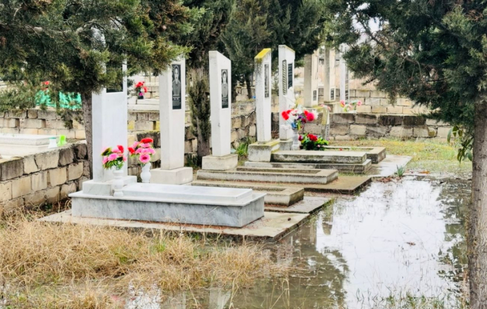 Göyçayda kənd qəbiristanlığında subasma ilə bağlı tədbirlər görülür