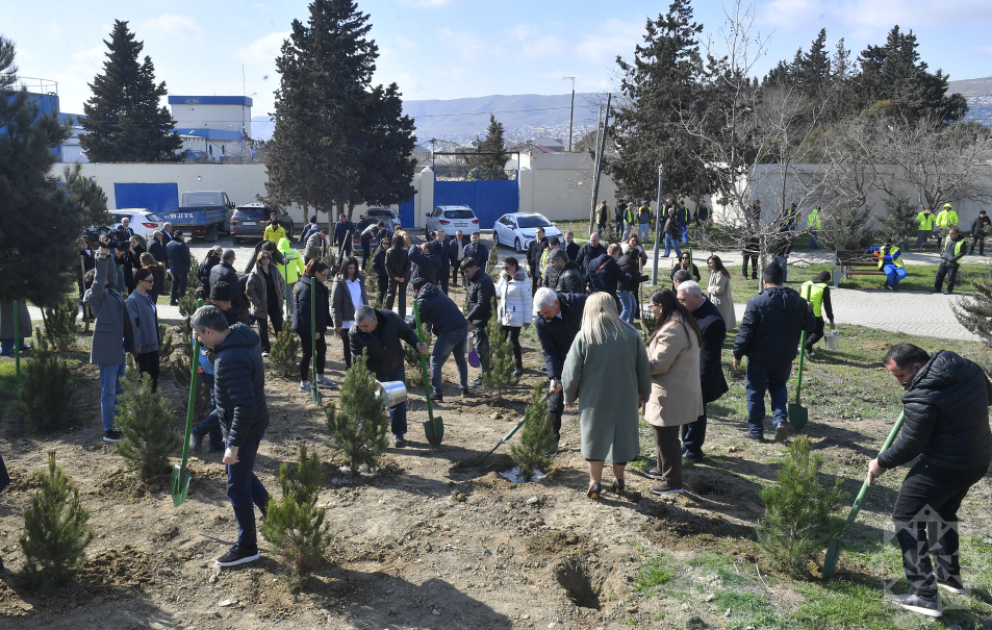 AZERTAC feiert ihren 106. Jahrestag mit 106 Baumspenden