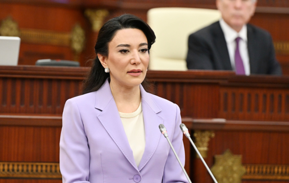 Ombudsman: Ötən il 9 mindən çox şəxs qəbul edilib