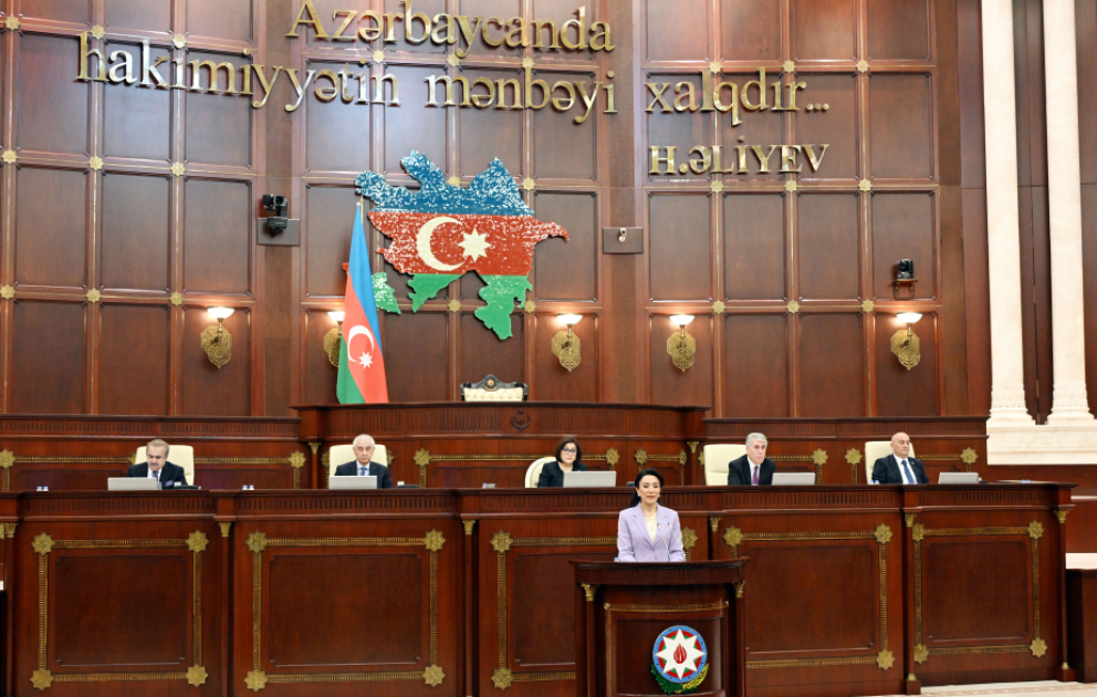Parlamentdə ombudsmanın ölkədə insan hüquqlarının qorunması haqqında illik məruzəsi dinlənilib