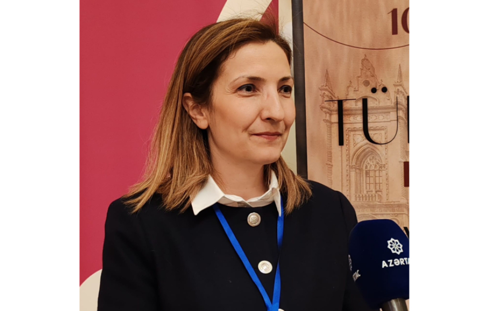 Professor: Ankaradan Bakıya, oradan da digər türk dövlətlərinə uzanacaq dəmir yolu xətti bütün Türk dünyası üçün mühüm mərhələ olacaq