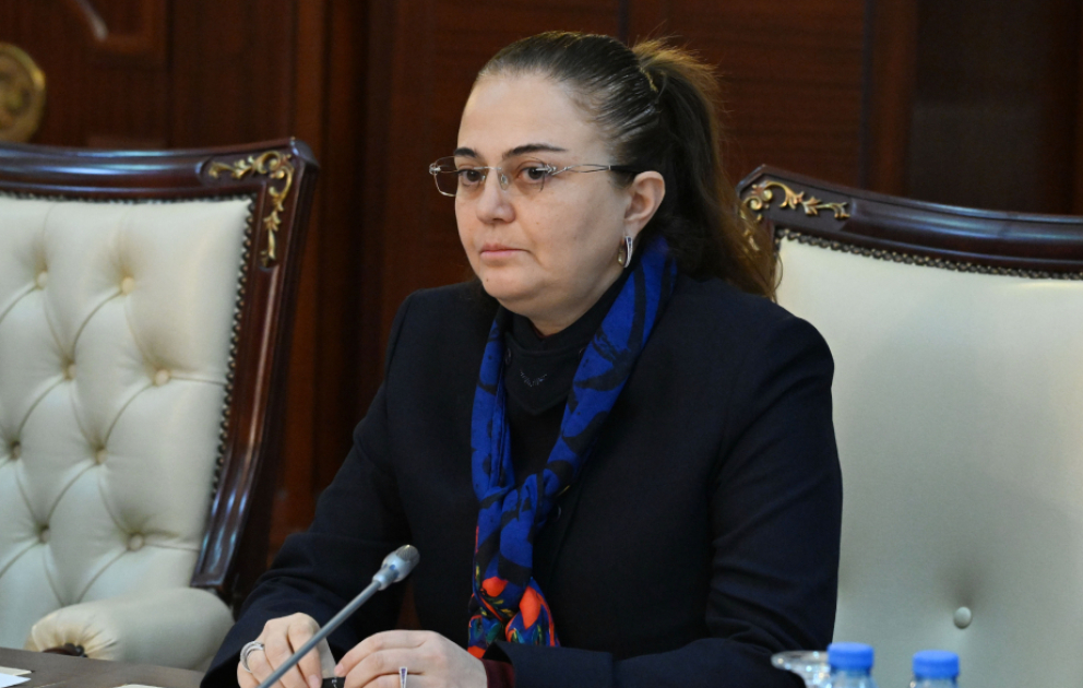 Səadət Yusifova: Biz bir neçə layihə üzərində işləyirik