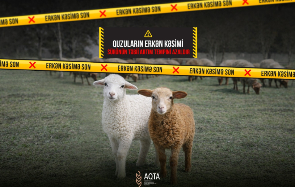 AQTA "Erkən kəsimə son" adlı maarifləndirici kampaniyaya başlayıb