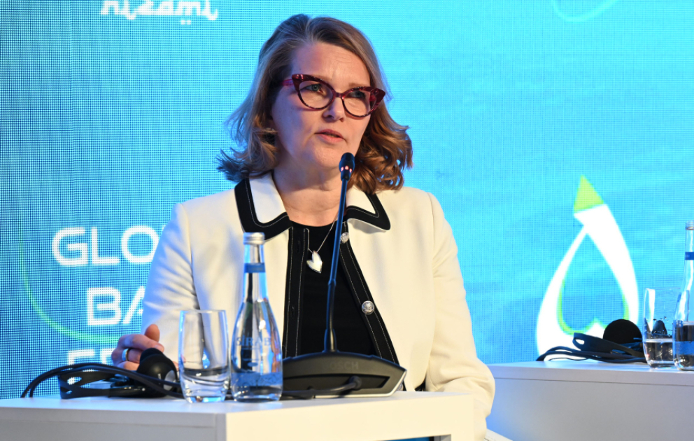 Süni intellektin idarəsində fövqəladə dayandırma mexanizmlərinin olması əhəmiyyətlidir