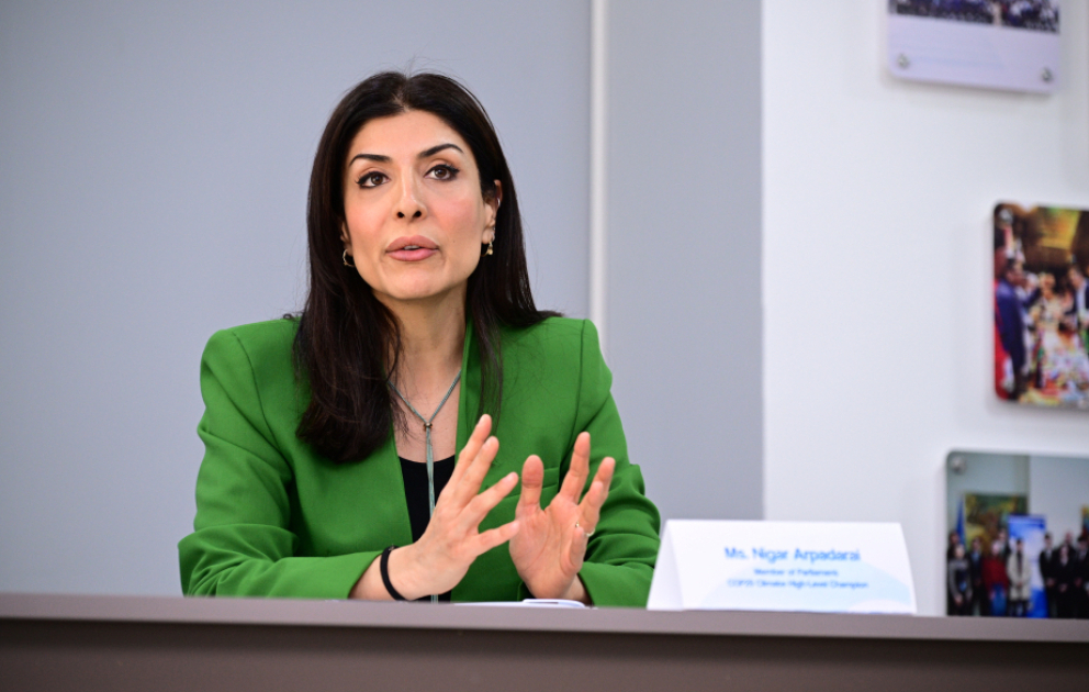 Nigar Arpadarai: Süni intellekt və iqlim dəyişiklikləri dövründə gənclərin fəaliyyəti daha da önəmlidir