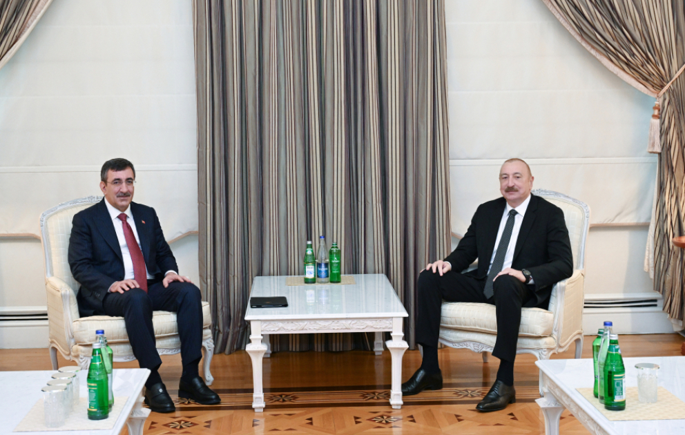 Prezident İlham Əliyev Türkiyənin Vitse-prezidentinin başçılıq etdiyi nümayəndə heyətini qəbul edib