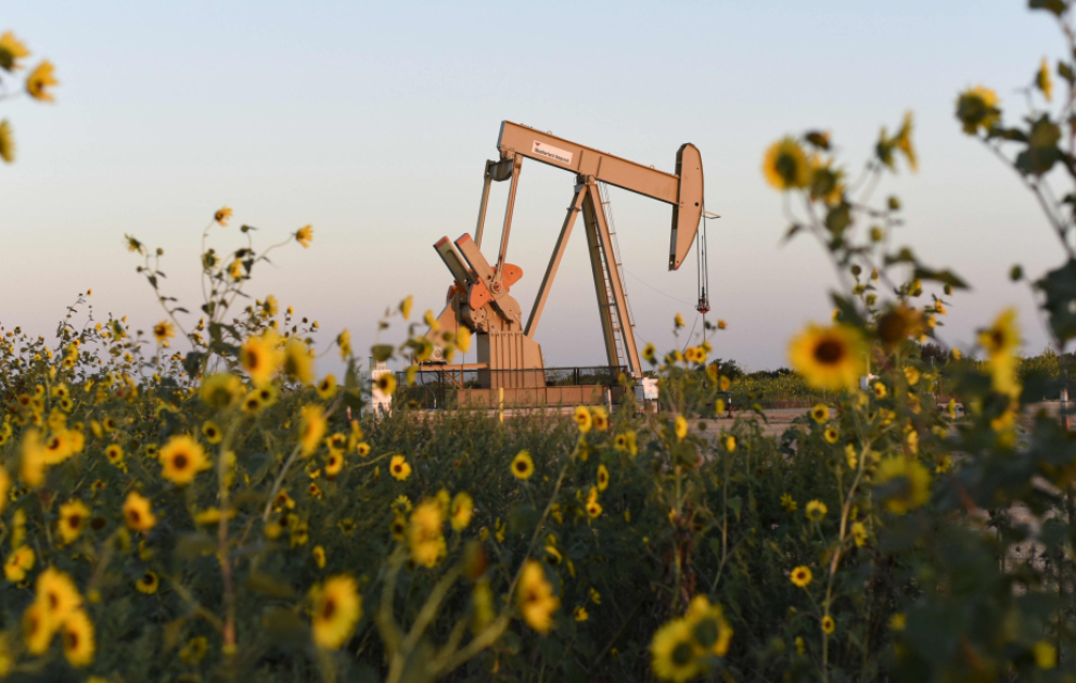 Цены на нефть подорожали на мировых биржах