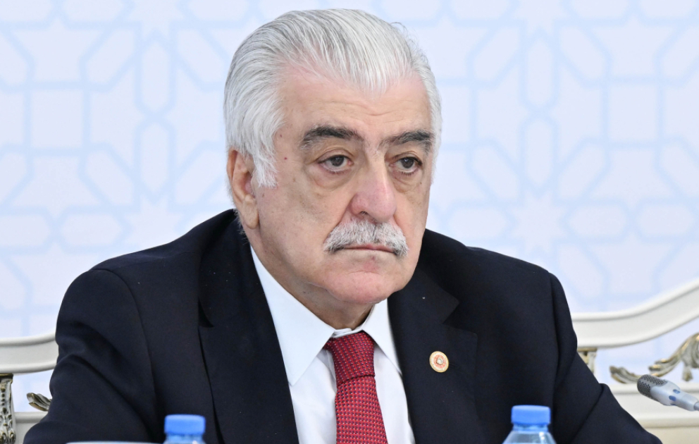 Şamil Ayrım: TDT-nin Azərbaycanın sədrliyi dövründə daha da fəallaşması mühüm irəliləyişdir