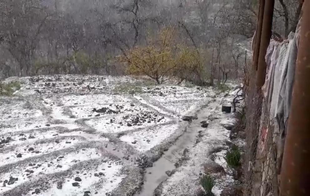 Şahbuz və Ordubada qar yağır