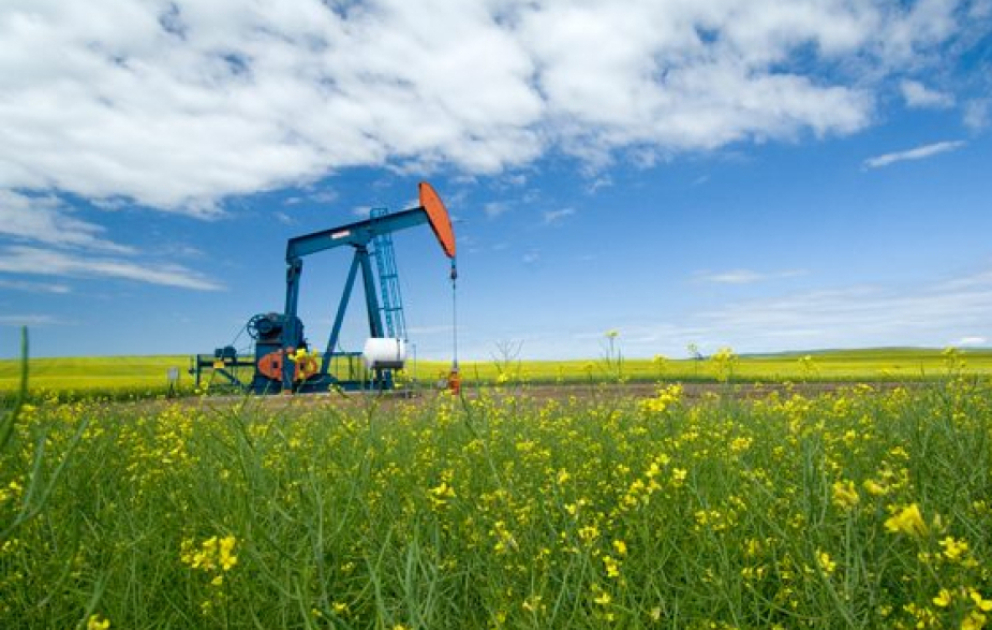 На мировых биржах снизились цены на нефть