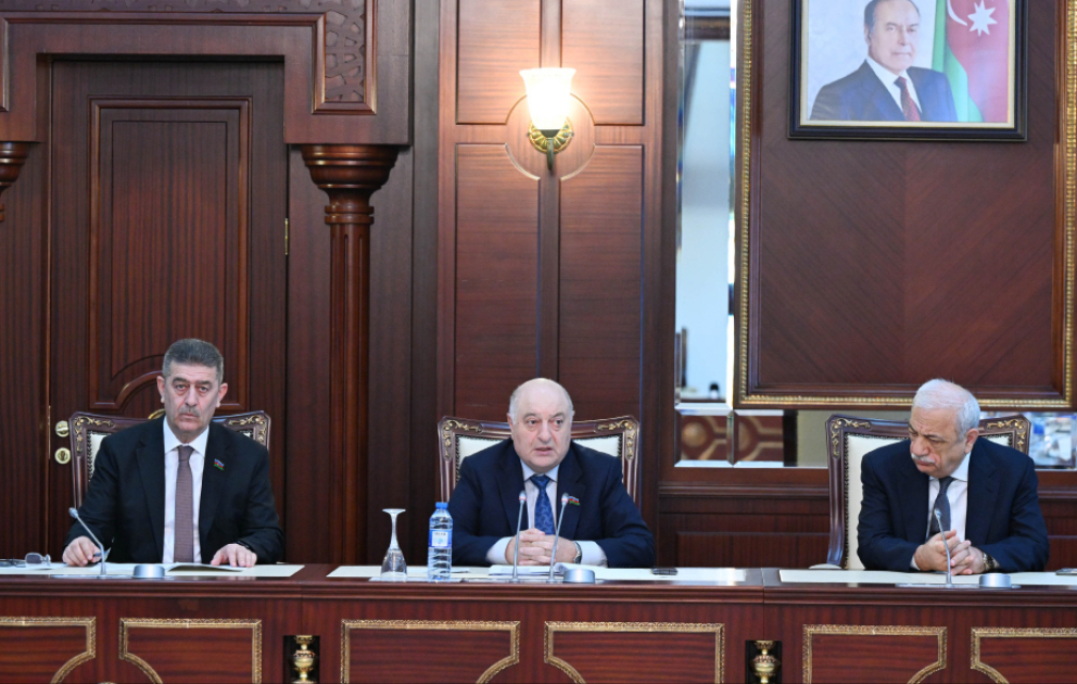 Daha iki məsələ parlamentin plenar iclasına tövsiyə edilib