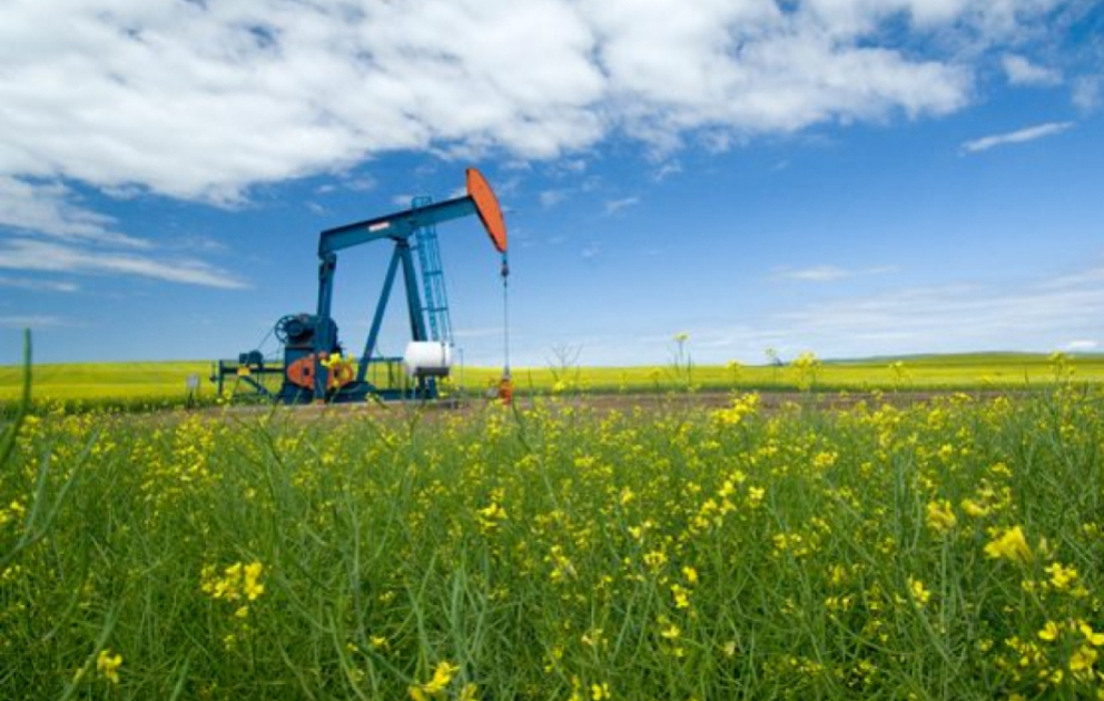 Oil prices rise in global markets