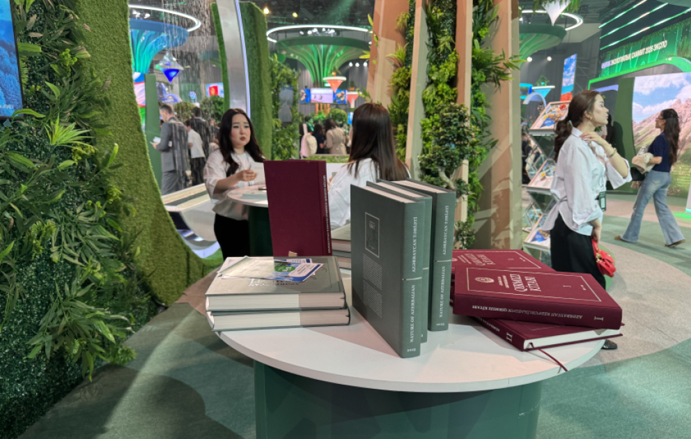 Азербайджан представил свой павильон на выставке RES 2026 EXPO в Астане