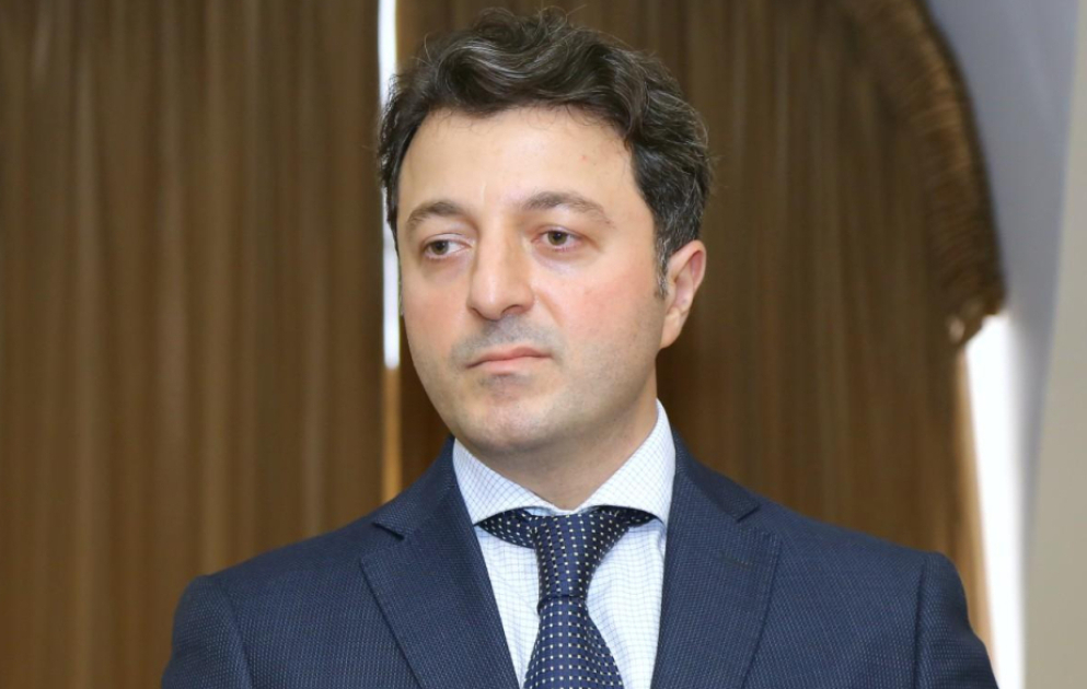 Депутат: Милли Меджлис выстраивает отношения с международными организациями на принципах честного и конструктивного диалога