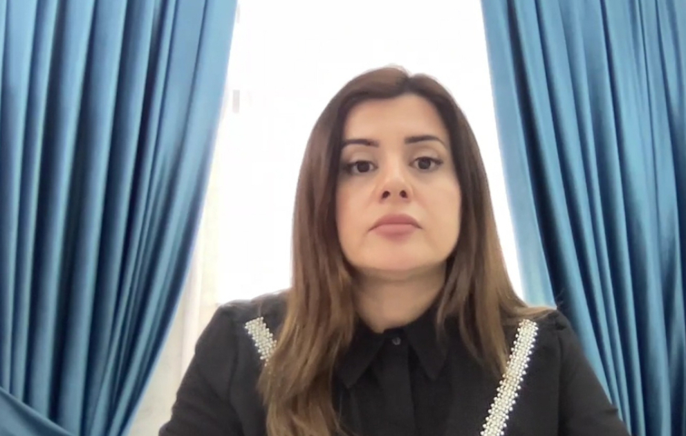 Deputat: Son illərdə Avropa Parlamenti demokratiya kartından təzyiq vasitəsi kimi istifadə edir