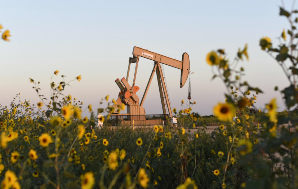 Oil prices fall in global markets
