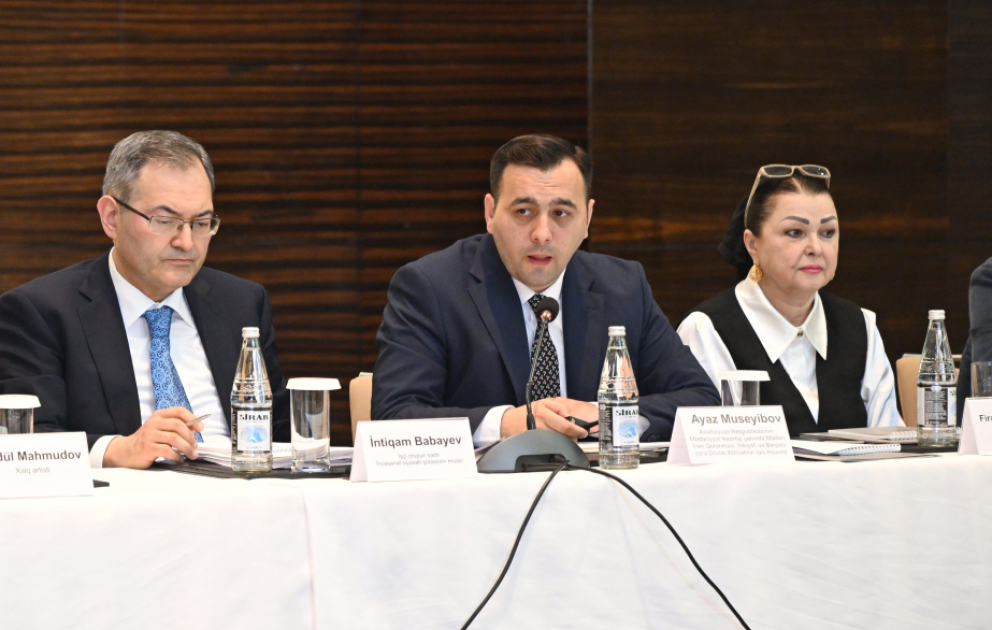 Ayaz Müseyibov: İncəsənətin inkişafı üçün yeni strategiyalar müəyyənləşdiriləcək