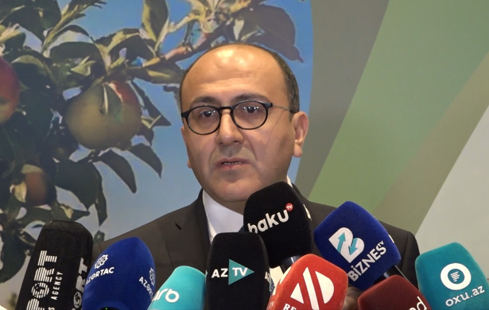 Yalçın Camalov: Hər il 400 mindən çox fermerə əkin subsidiyası ödənilir